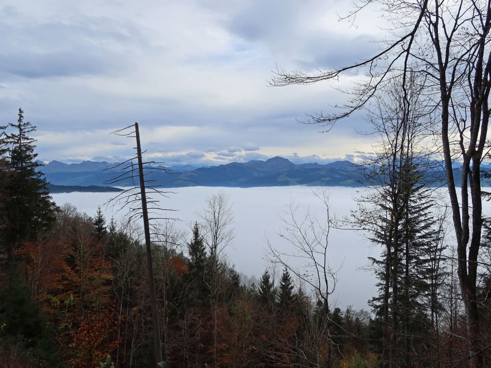 Speer überm Nebelmeer