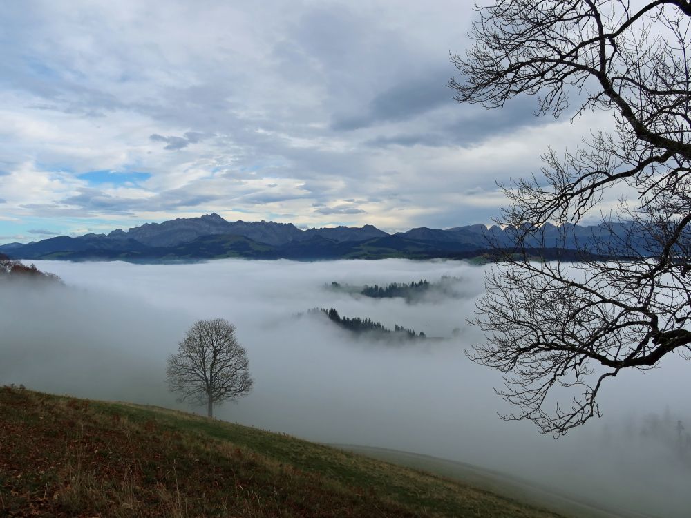 Säntis und Churfirsten überm Nebel