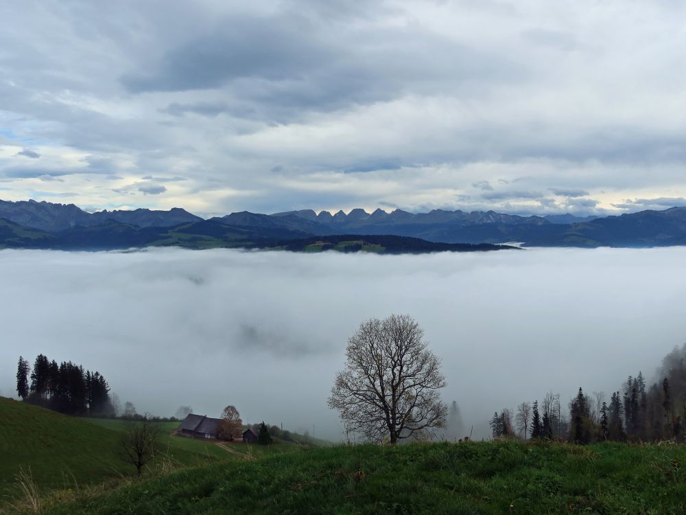 Blick Richtung Churfirsten