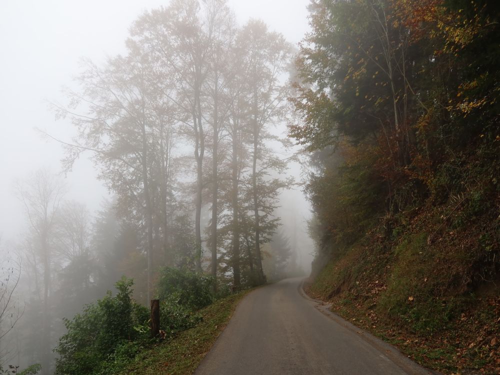 Strasse im Nebel