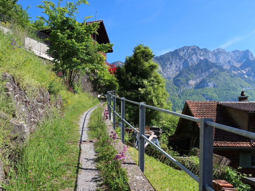 Pfad in Mühlehorn