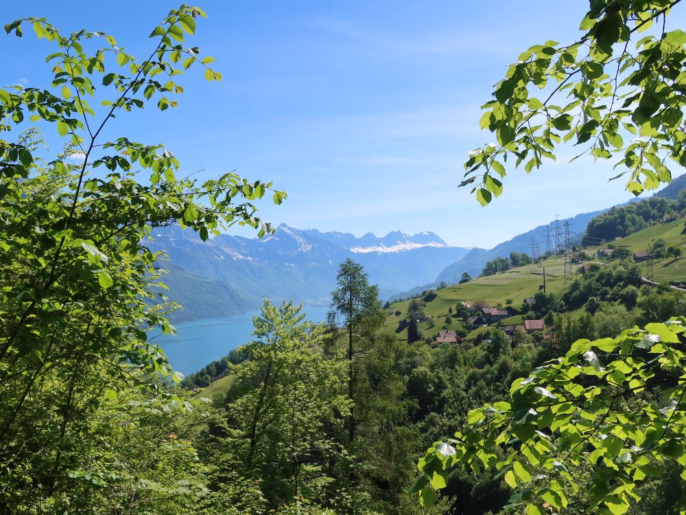 Walensee und Alvierkette