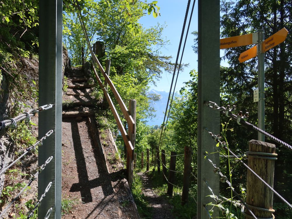 Hängebrücke Fuchsfallen