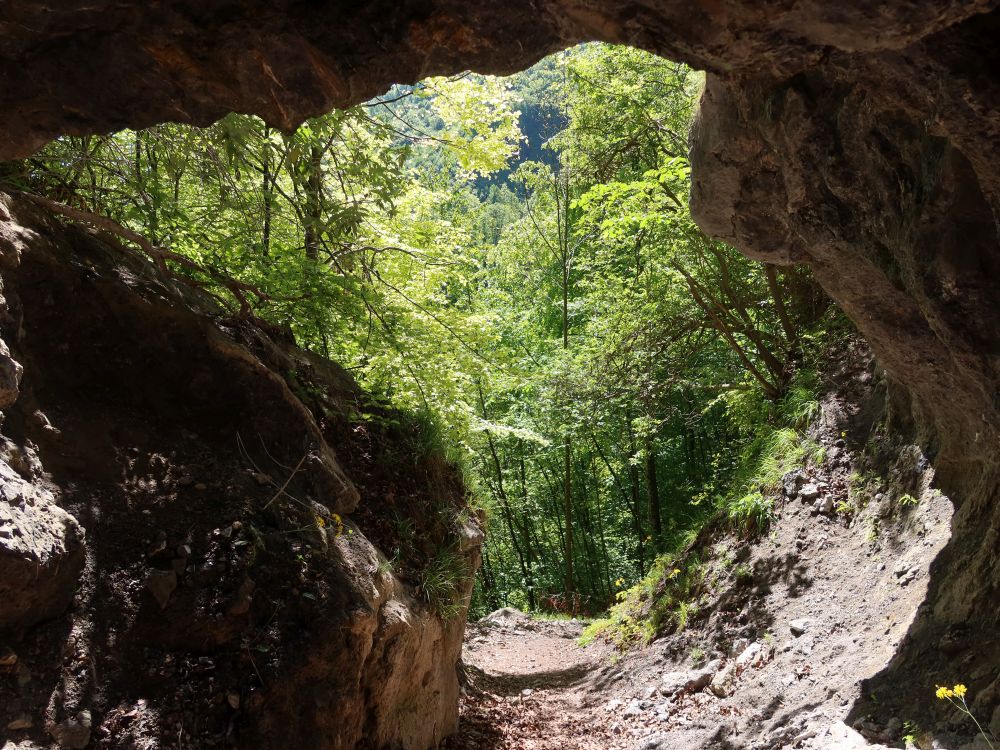 Tunnel