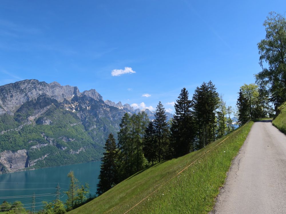 Hüttenbergstrasse mit Leistchamm