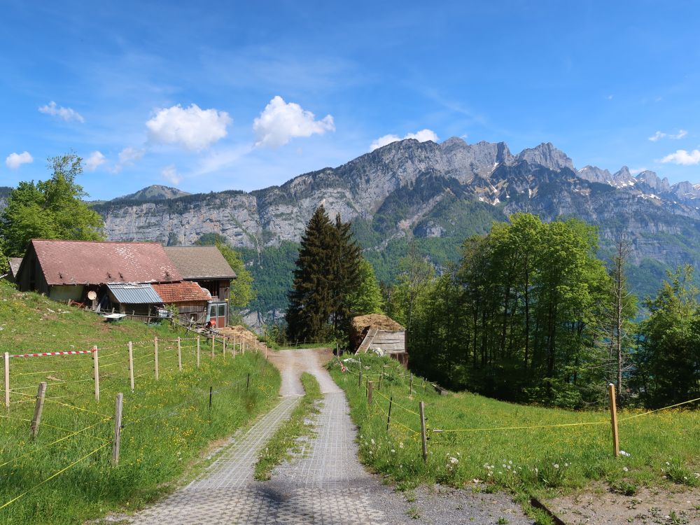 Bauernhof und Leistchamm