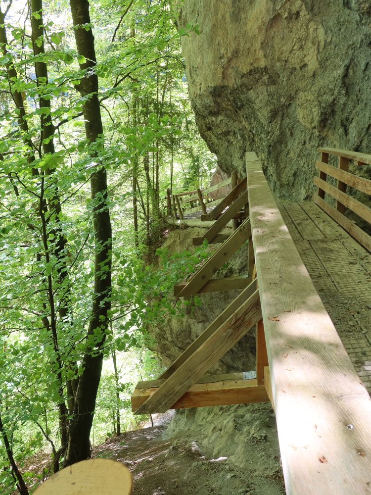 Holzsteg an der Striggwand