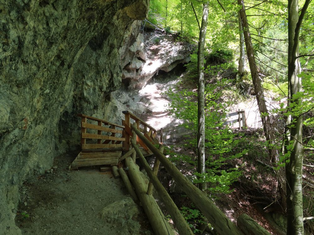 Holzsteg an der Striggwand