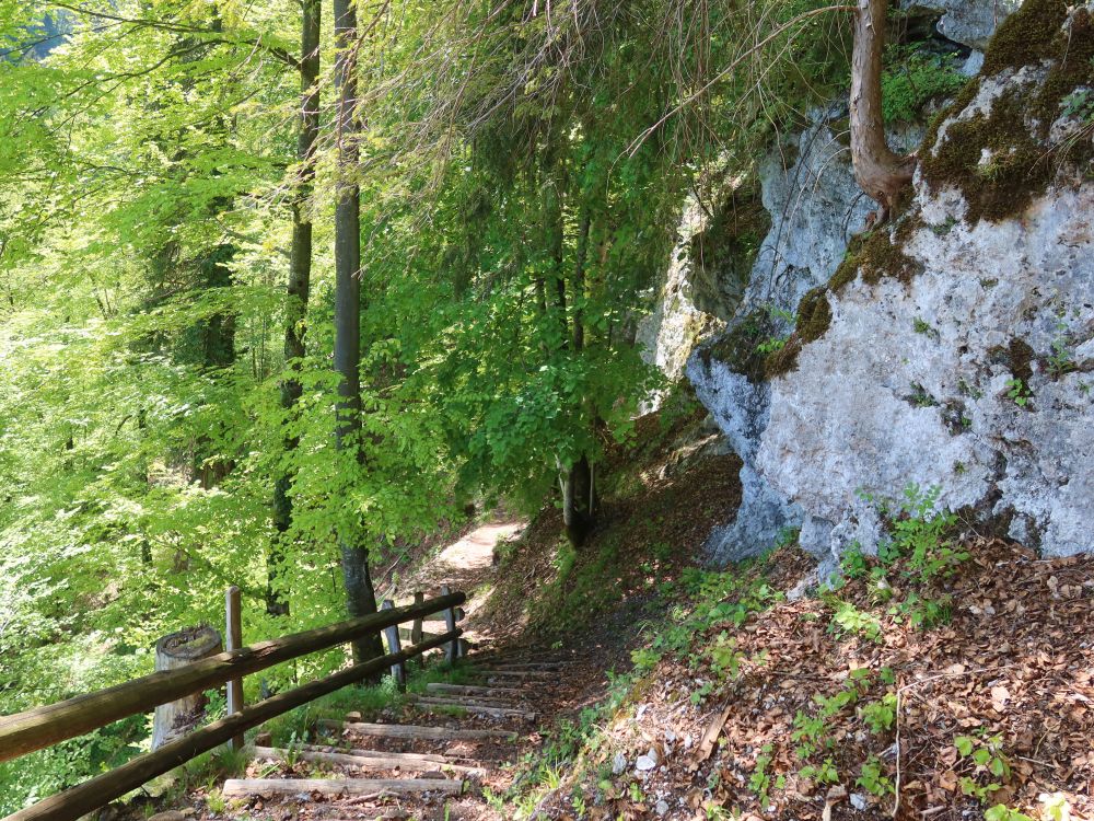 Treppe an der Striggwand