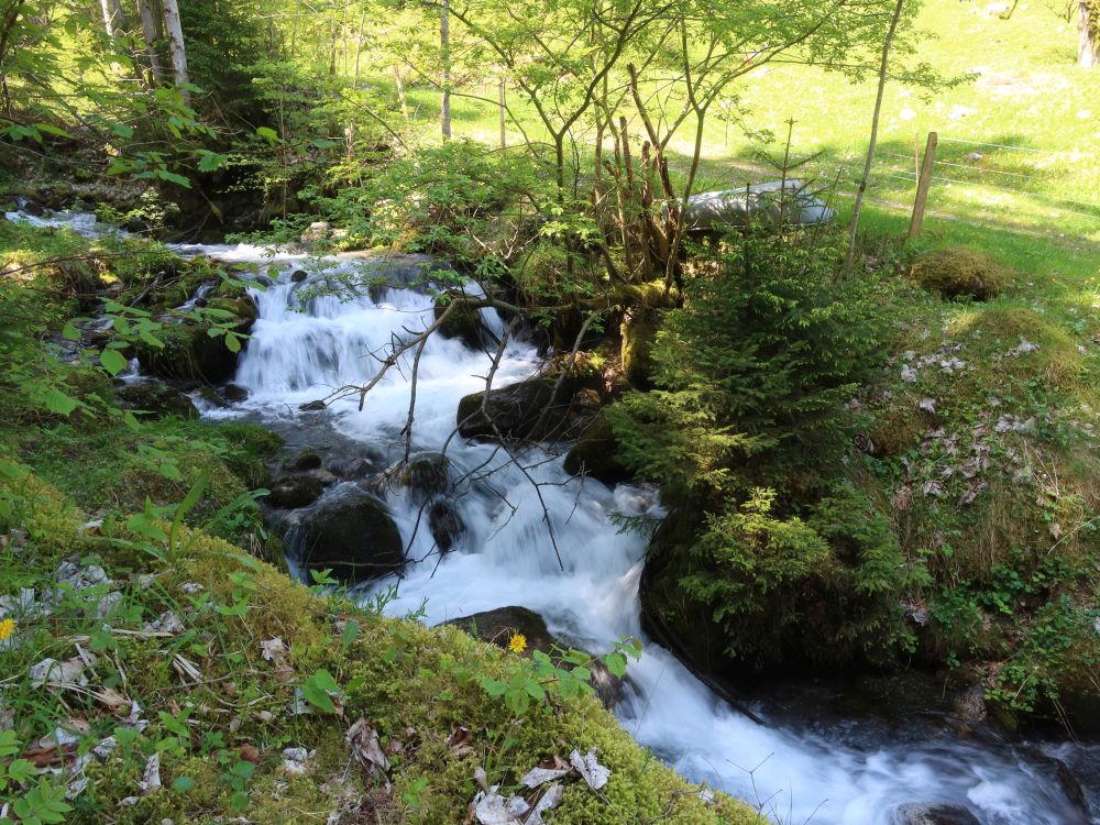 Meerenbach bei Holz