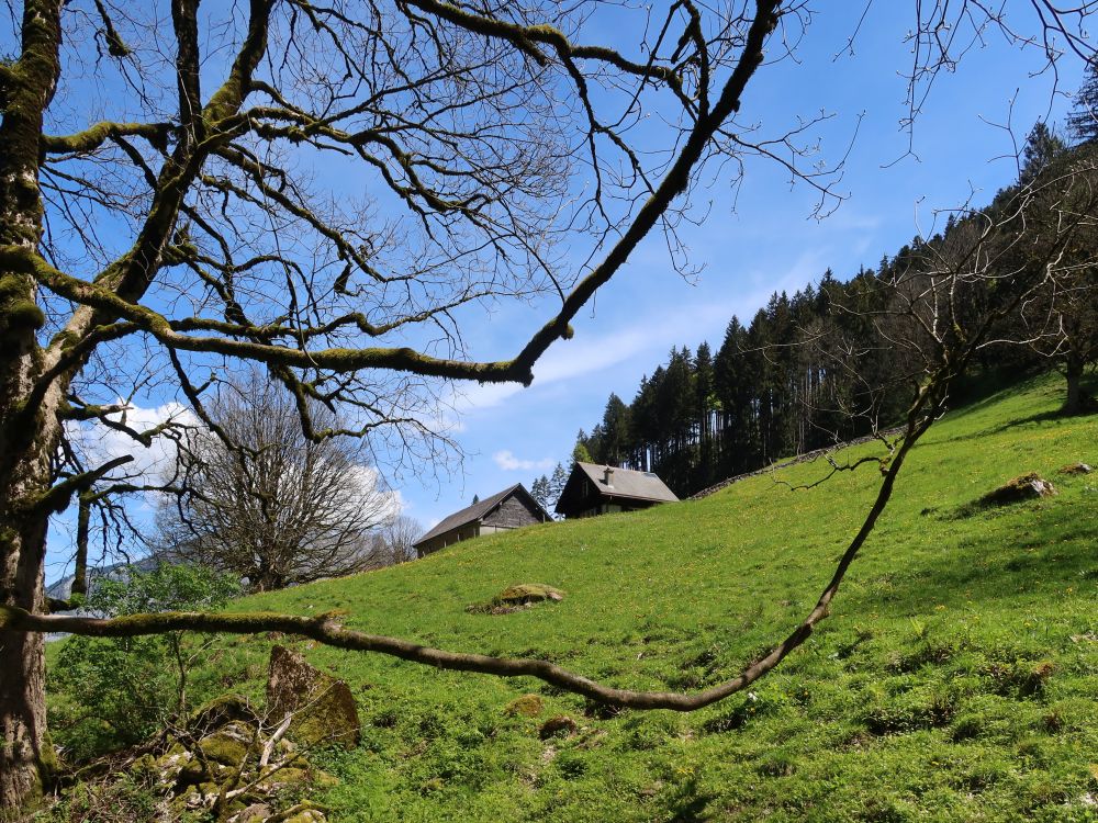 Hütten am Schwammboden