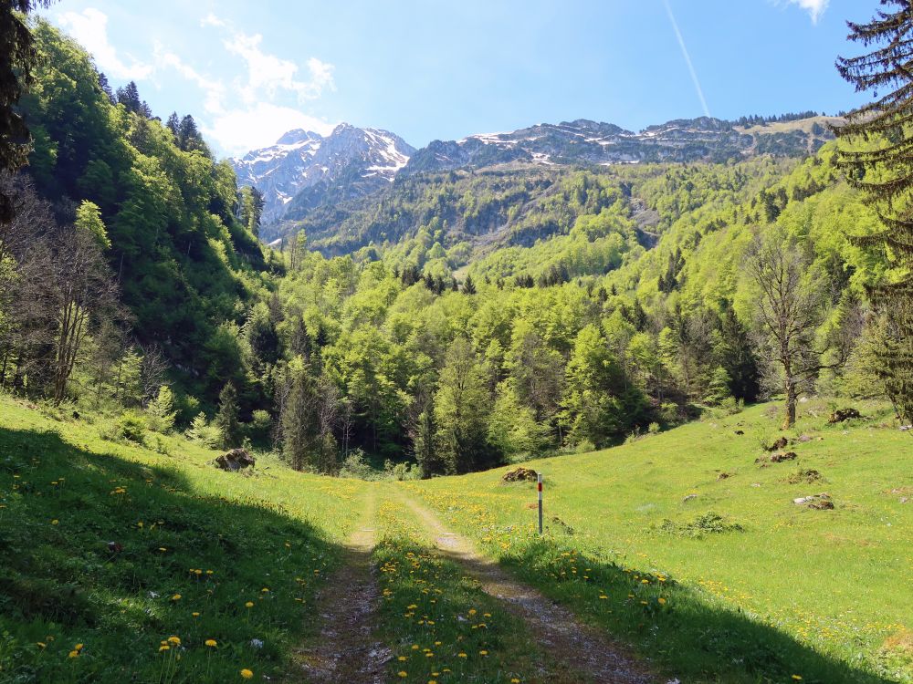 Blick Richtung Mürtschenstock