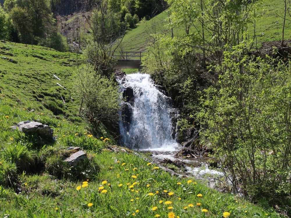 Wasserfall bei Ammeli