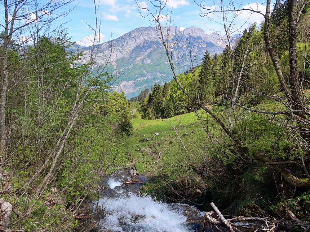 Wasserfall und Leistchamm