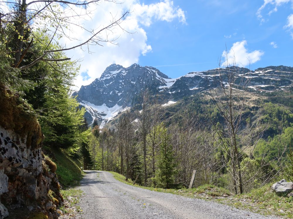 Bergweg und Mürtschenstock