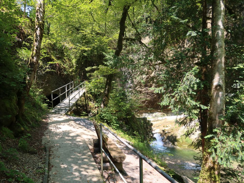 Stege im Neuhüslertobel