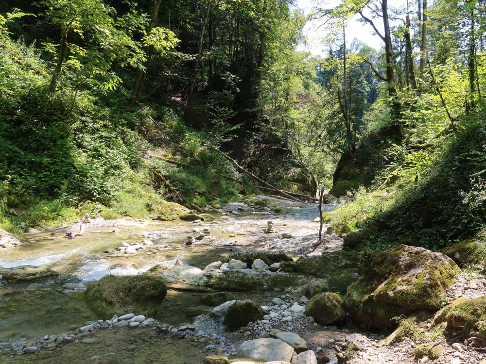 Steinmännchen im Neuhüslertobel