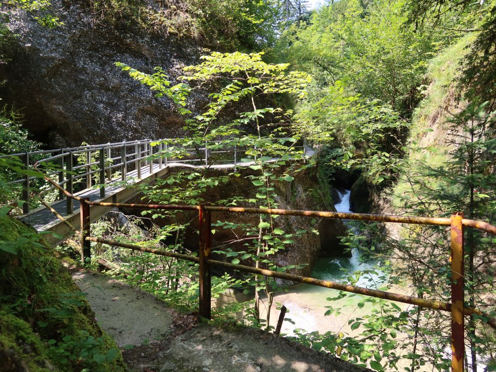 Stege im Neuhüslertobel