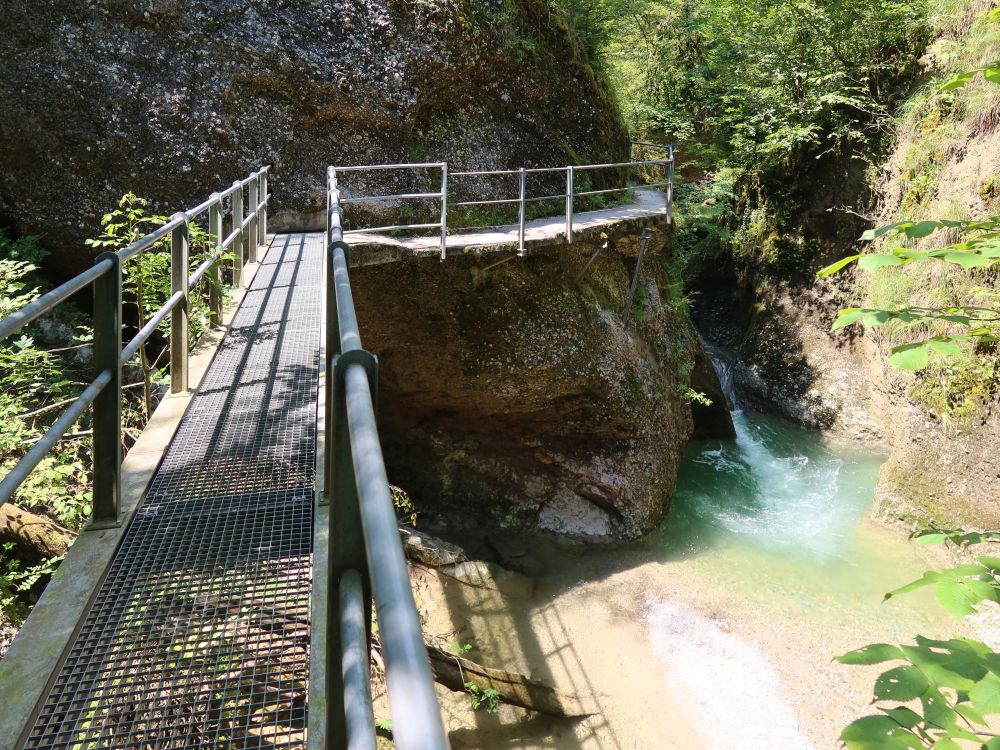 Stege im Neuhüslertobel