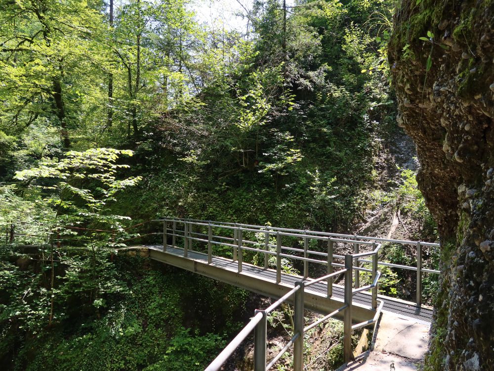 Stege im Neuhüslertobel