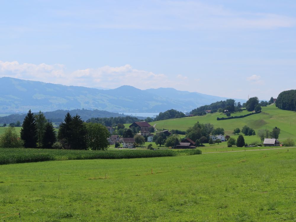 Blick Richtung Zürichsee