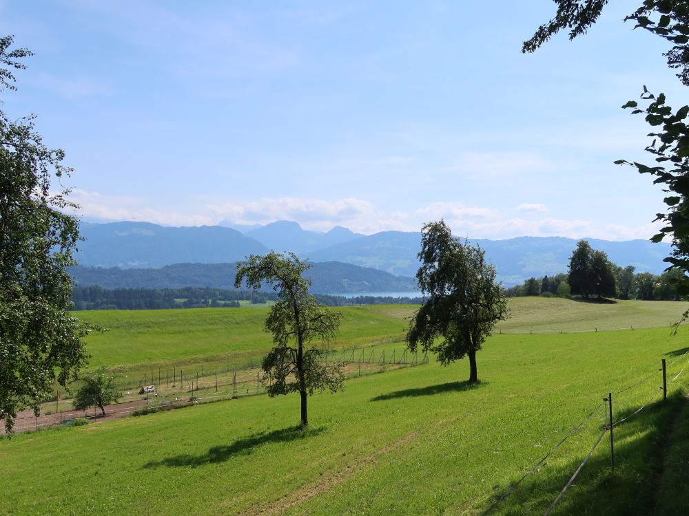 Grosser und Kleiner Aubrig überm Zürichsee