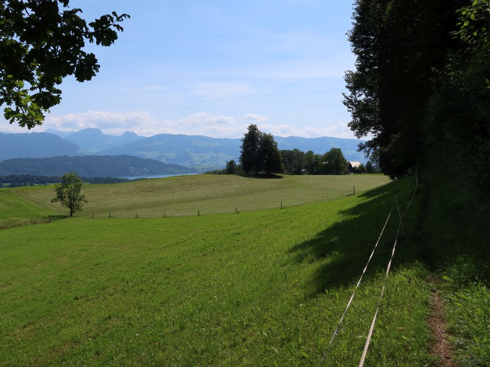 Grosser und Kleiner Aubrig überm Zürichsee