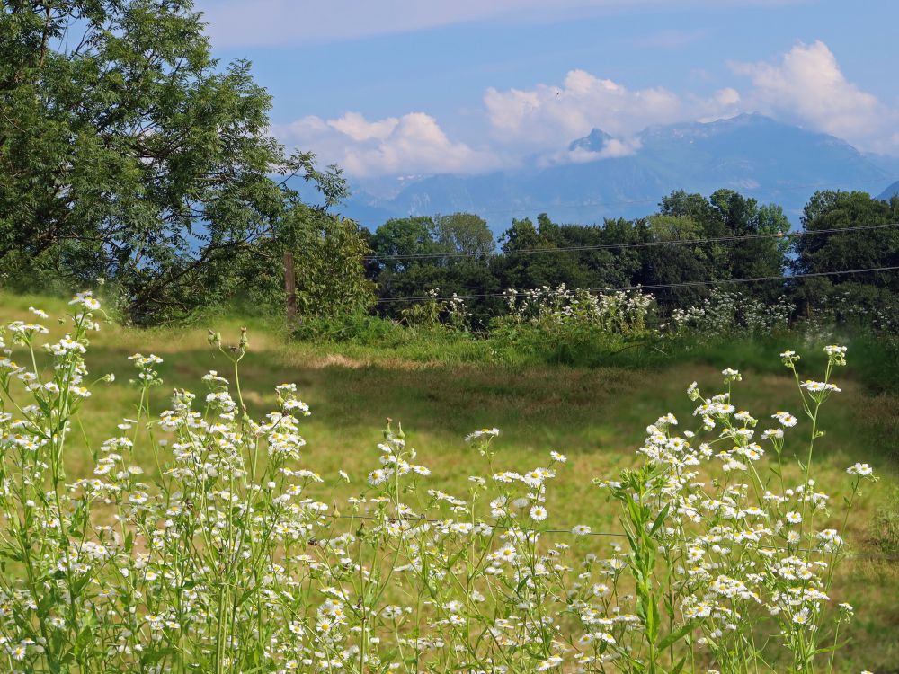 Wolken an Fronalpstock und Schilt