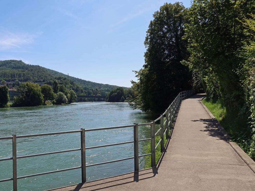 Uferweg an der Aare