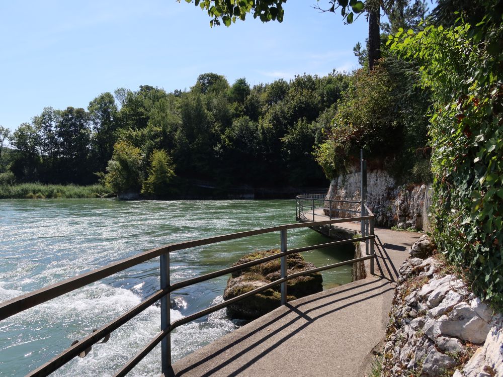 Uferweg an der Aare