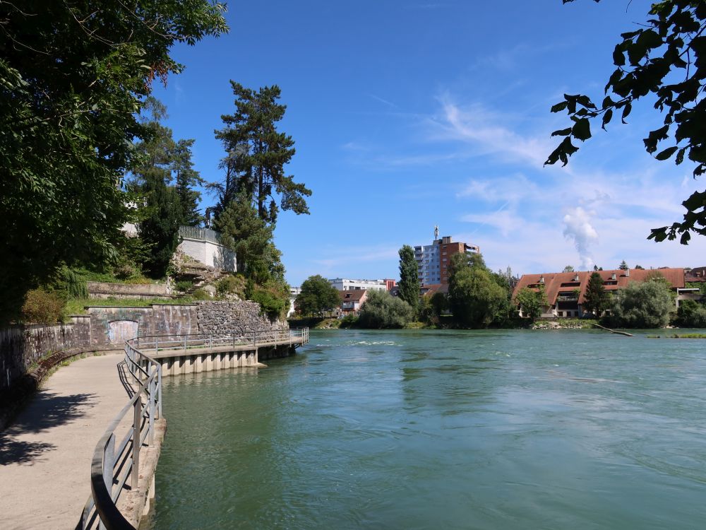 Uferweg an der Aare