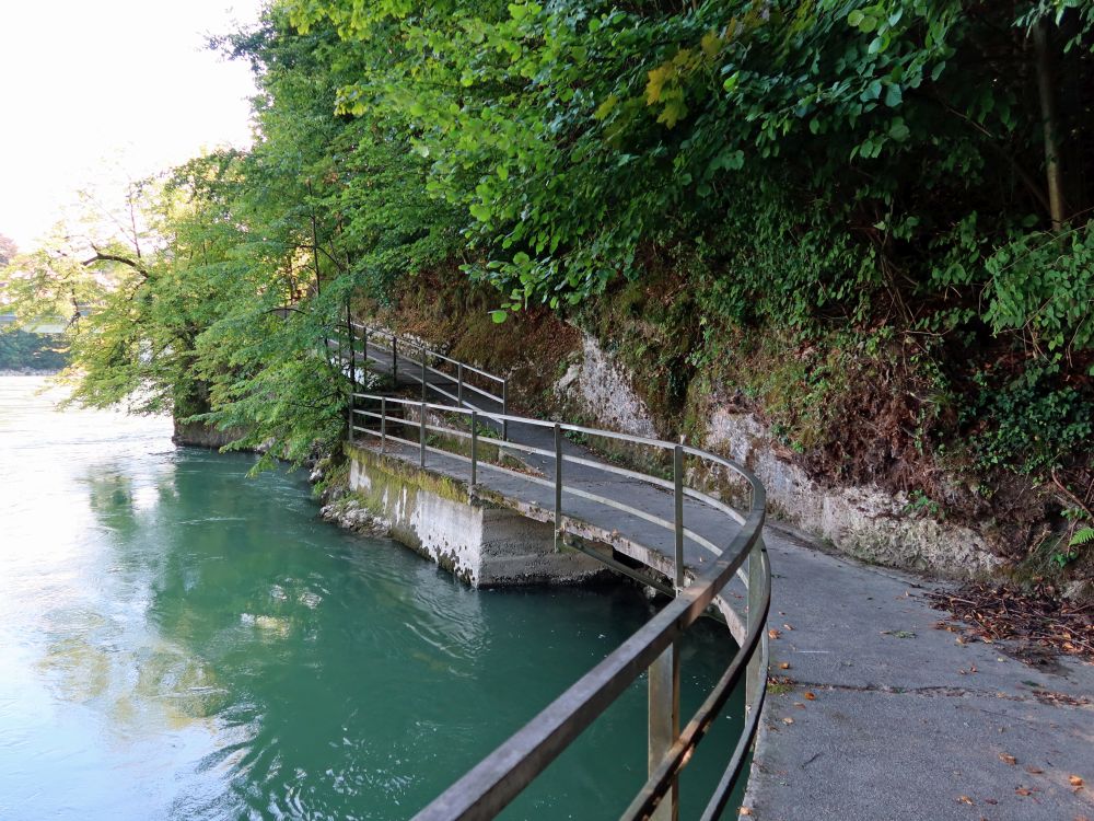 Uferweg an der Aare