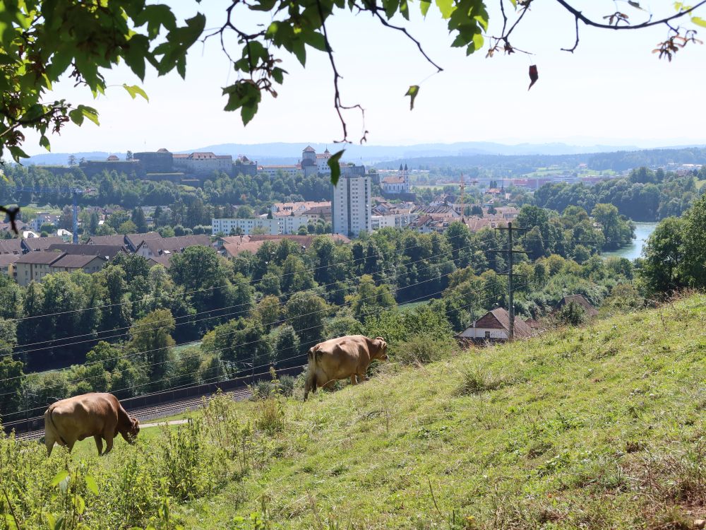 Blick Richtung Aarburg