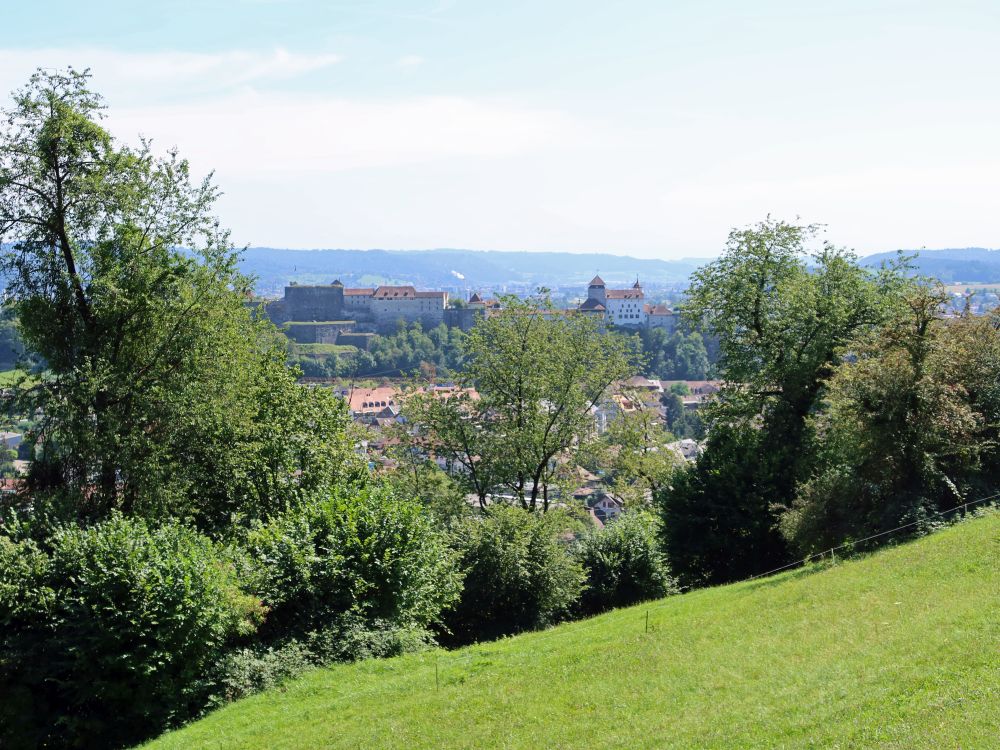 Festung Aarburg