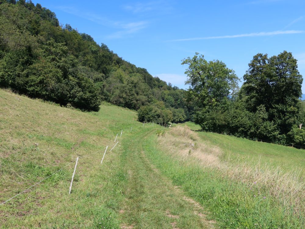 Kretenweg