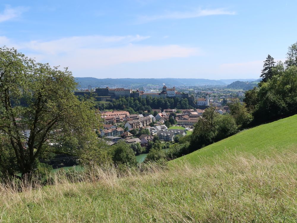 Blick Richtung Aarburg