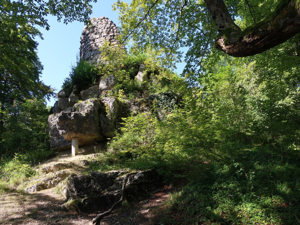 Ruine Alt-Wartburg