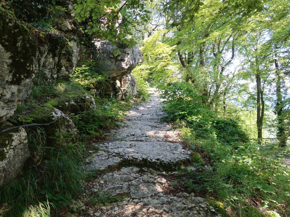 Ruine Alt-Wartburg