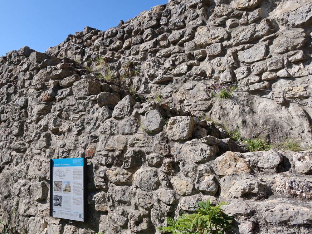 Ruine Alt-Wartburg