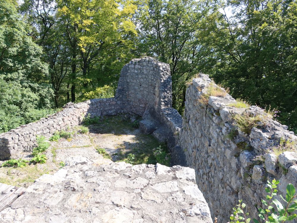 Ruine Alt-Wartburg