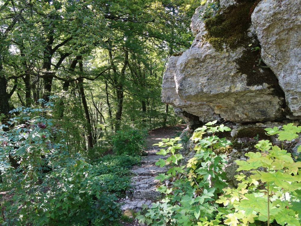 Ruine Alt-Wartburg