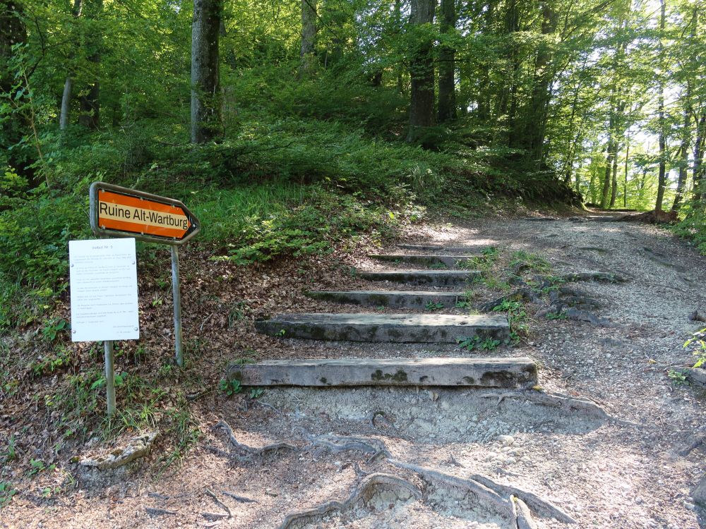 Aufgang zur Ruine Alt-Wartburg