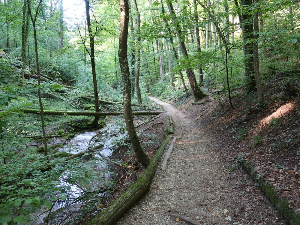 Pfad  am Mülitalbach