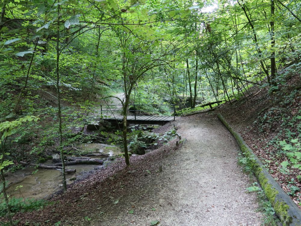 Pfad  am Mülitalbach