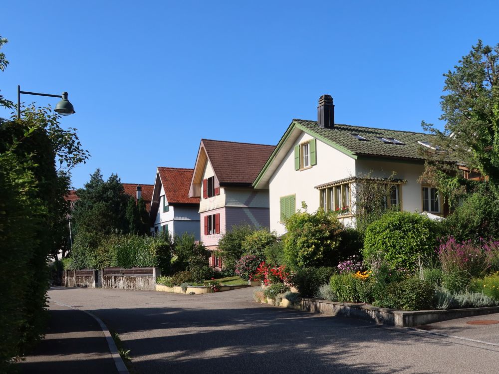 Hausreihe an der Unteren Kohliweidstrasse