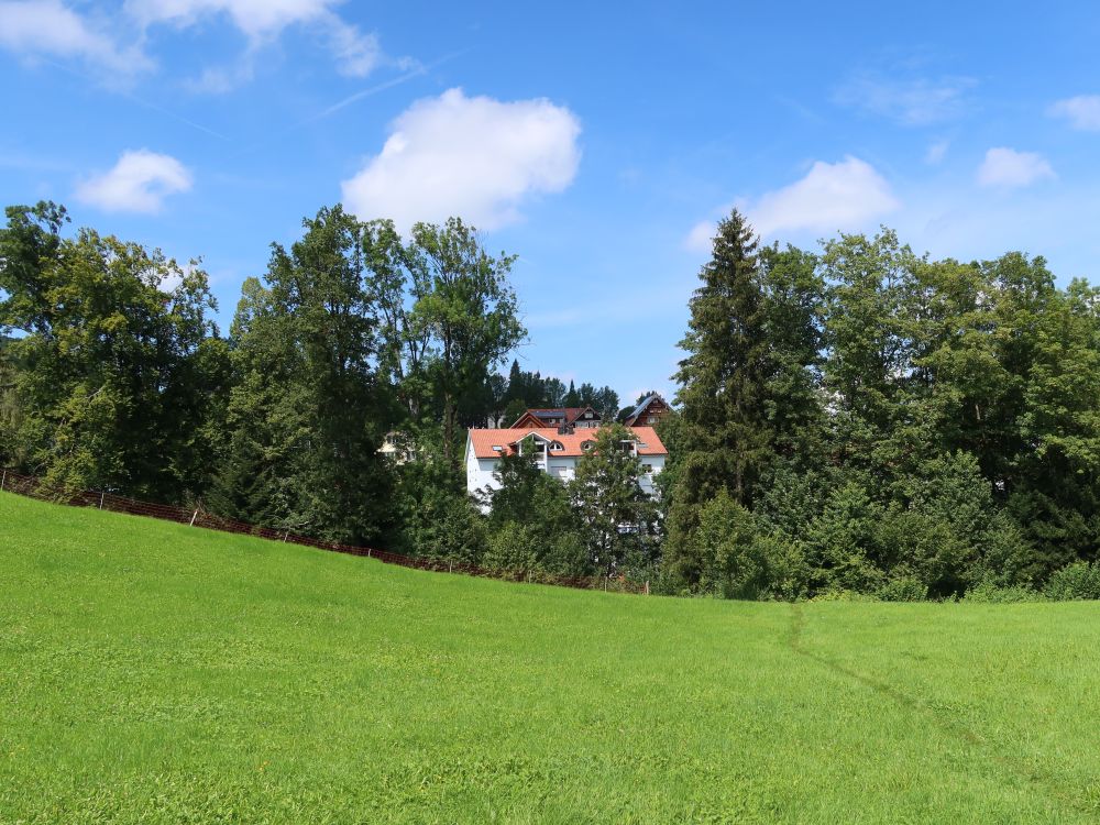 Wiesenpfad bei Brugg