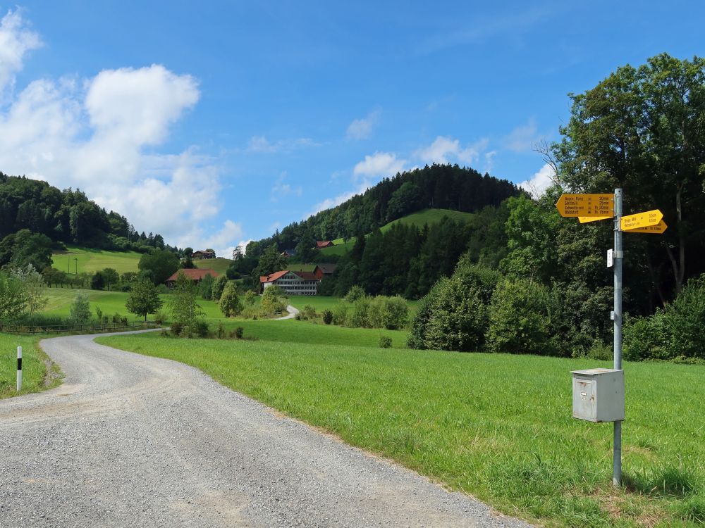 Blick Richtung Stierweid