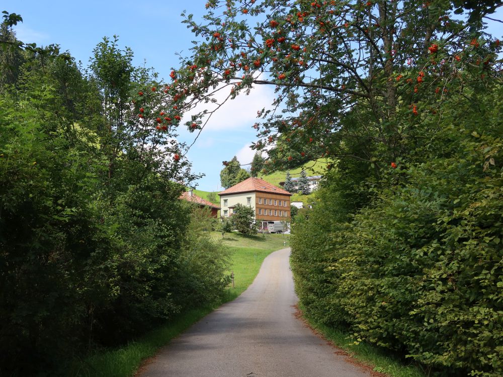 Haus bei Stierweid