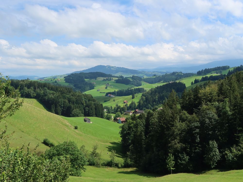 Blick Richtung Hundwiler Höhi