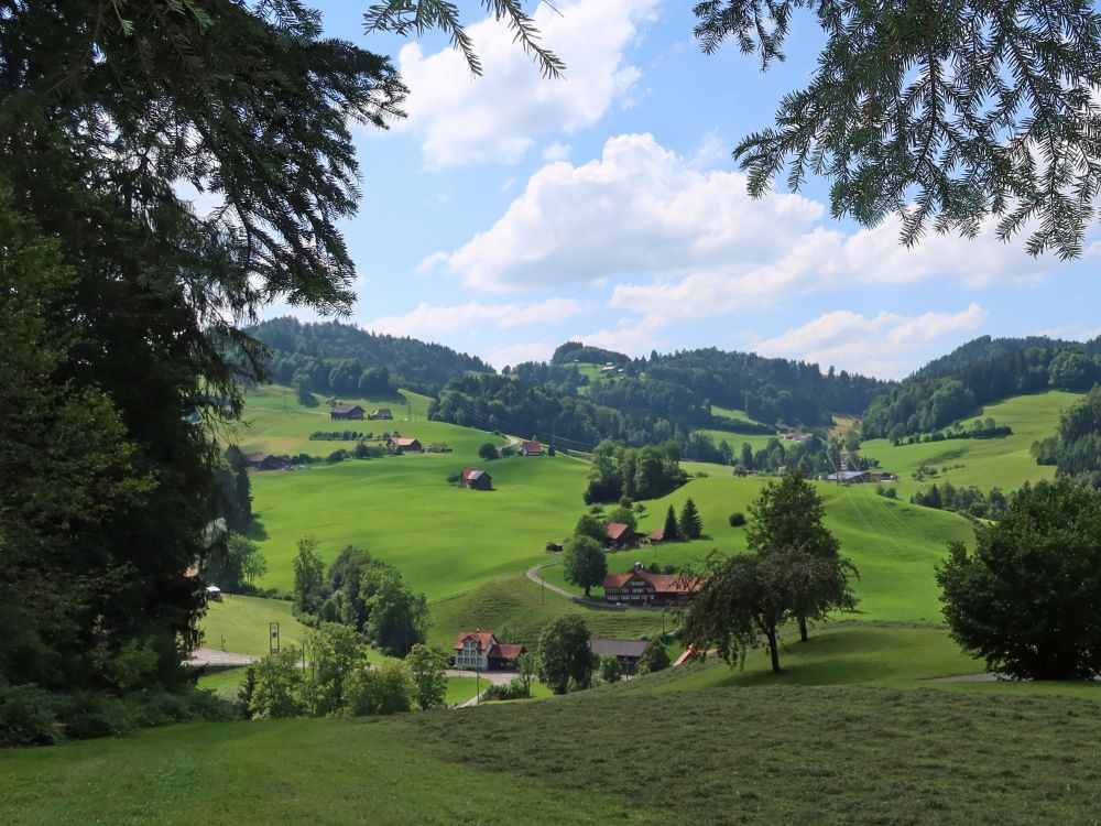 Blick Richtung Obermüli